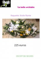 /album/galerie-de-photos-deuil/la-belle-orchidee-1-jpg/
